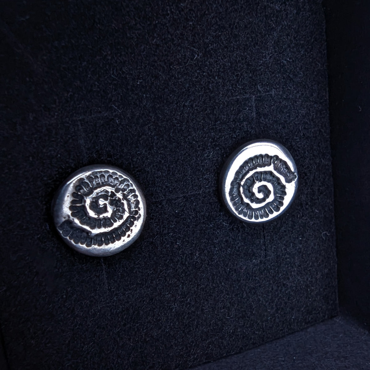 Fine silver spiral ammonite - stud earrings