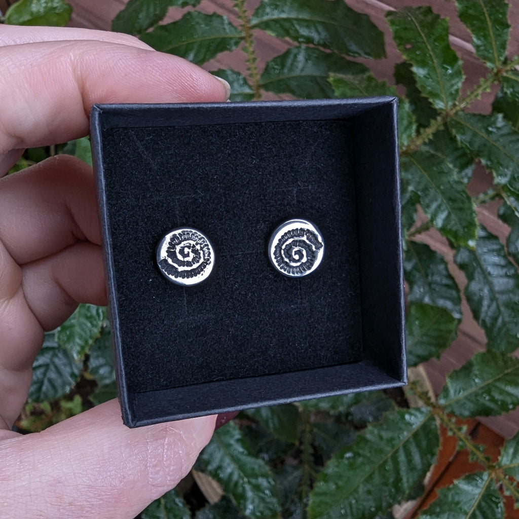 Fine silver spiral ammonite - stud earrings